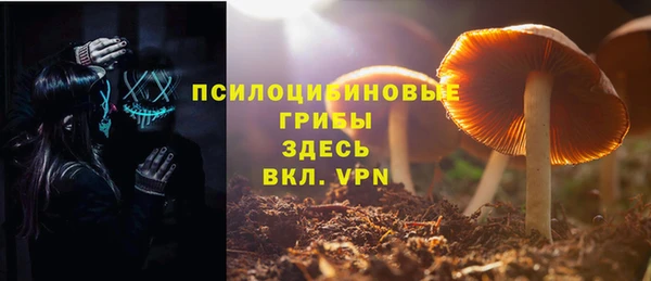 метадон Няндома