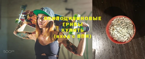 метадон Няндома