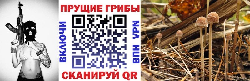 Галлюциногенные грибы мухоморы  мега онион  Тутаев 